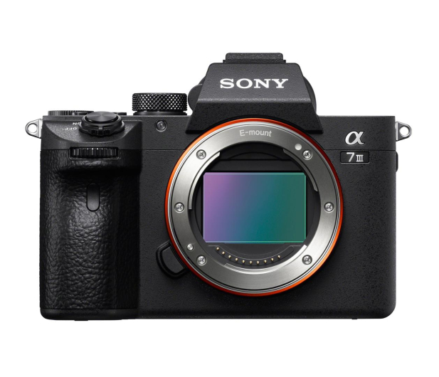 Sony Alpha A7 III + FE 28–70mm f/3.5-5.6 OSS II - 1515940 - zdjęcie 6